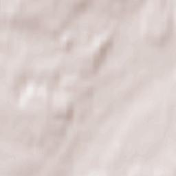 Jastrowie Terrain Map