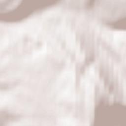 Hayfield Terrain Map