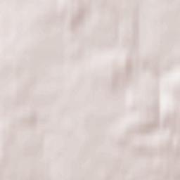 Spasskoye-Lutovinovo Terrain Map