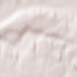 Chełmno Terrain Map