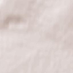 Bessonovka Terrain Map