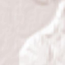 Kuzedeyevo Terrain Map