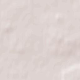 Asipovichy Terrain Map