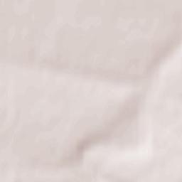 Znamenskoye Terrain Map