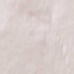 Petra-Dubrava Terrain Map