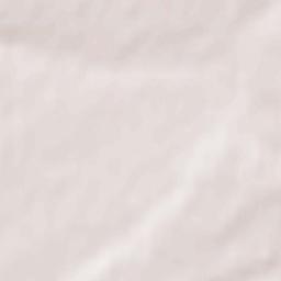 Vlasikha Terrain Map