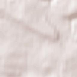 Holywell Terrain Map