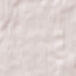 Lidzbark Terrain Map