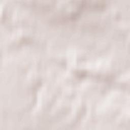 Bartniczka Terrain Map