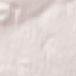 Pachelma Terrain Map