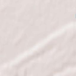 Novyye Zori Terrain Map