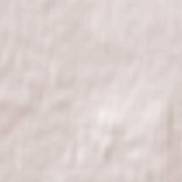 Drayton Valley Terrain Map