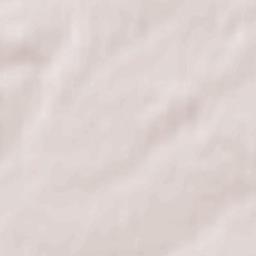 Branston Terrain Map