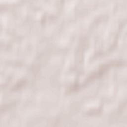 Dąbrowa Chełmińska Terrain Map