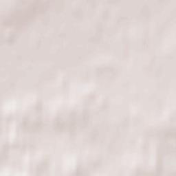 Wasilków Terrain Map