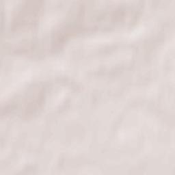 Vyalikaya Byerastavitsa Terrain Map