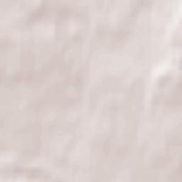 Penyffordd Terrain Map