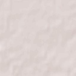 Kowalewo Pomorskie Terrain Map