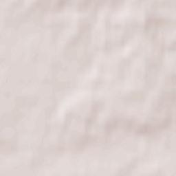 Dzierzgowo Terrain Map