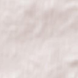 Volkovysk Terrain Map