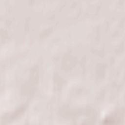 Zel’va Terrain Map