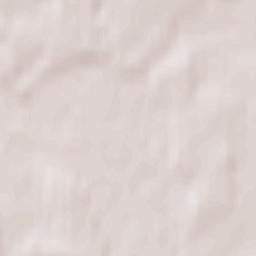 Rahachowski Rayon Terrain Map