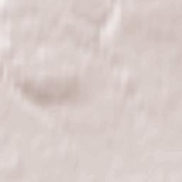 Novospasskoye Terrain Map