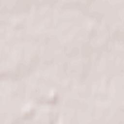 Wąpielsk Terrain Map