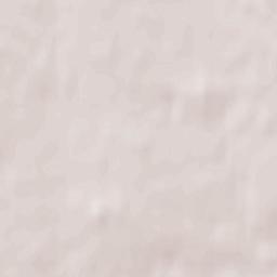 Babruysk Terrain Map