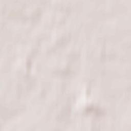 Przelewice Terrain Map