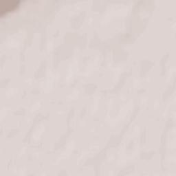 Osiek nad Notecią Terrain Map