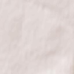 Zasechnoye Terrain Map