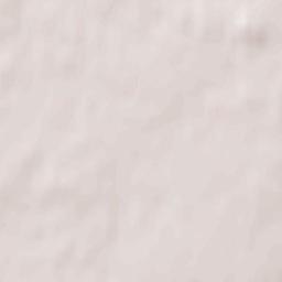 Kuznetsk Terrain Map