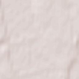 Rahachow Terrain Map