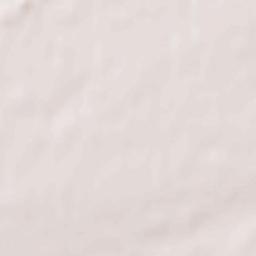 Rebrikha Terrain Map