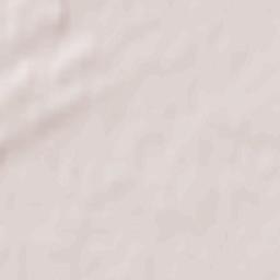 Driehuizen Terrain Map