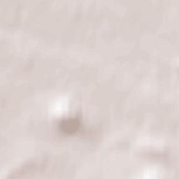 Stradbally Terrain Map