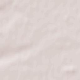 Leasingham Terrain Map