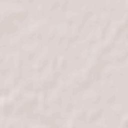 Przasnysz Terrain Map