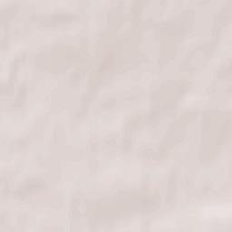 Svislach Terrain Map