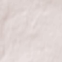 Lebedyan’ Terrain Map