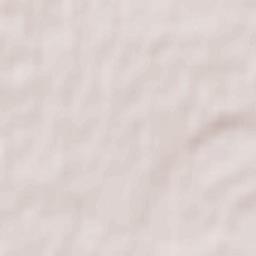 Borskoye Terrain Map