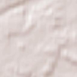 Zhirovichi Terrain Map