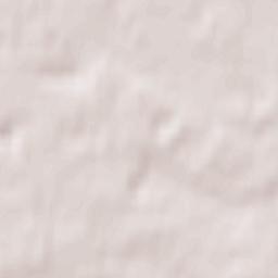 Powiat toruński Terrain Map