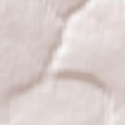 Novosil’ Terrain Map