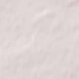 Pochepskiy Rayon Terrain Map