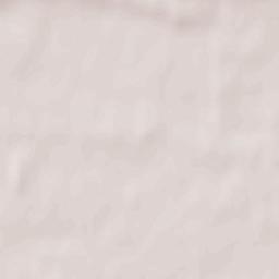 Gniewkowo Terrain Map