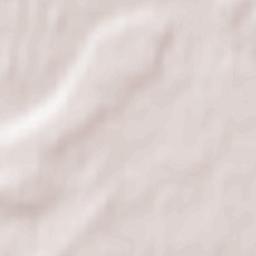 Znamenka Terrain Map