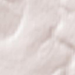 Zalegoshch’ Terrain Map