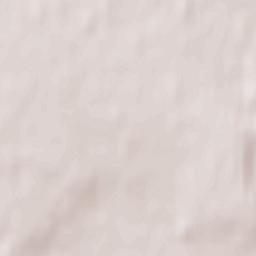 Michurinsk Terrain Map